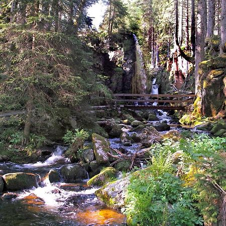 C4 Albmatte-Fewo Sauna, Hallenbad Aussenbecken Massagen Nebenan Menzenschwand Luaran gambar