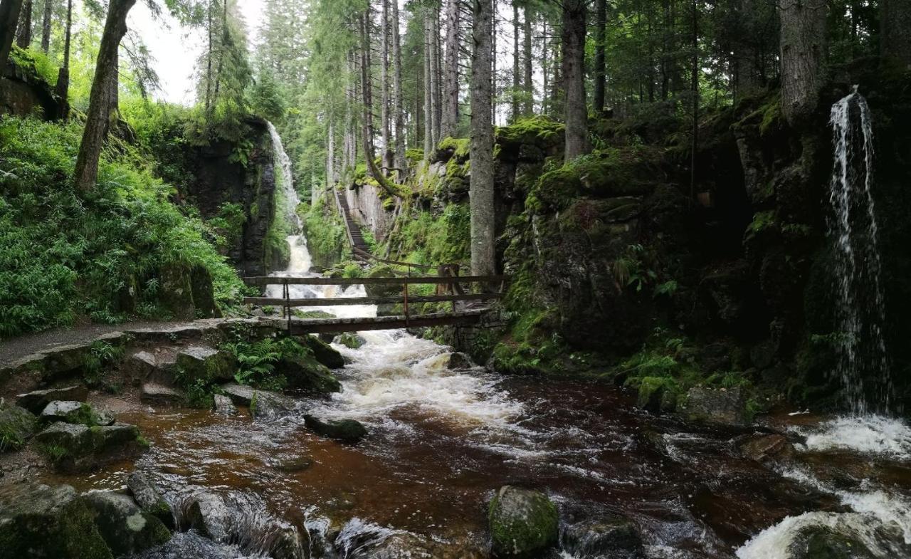 C4 Albmatte-Fewo Sauna, Hallenbad Aussenbecken Massagen Nebenan Menzenschwand Luaran gambar