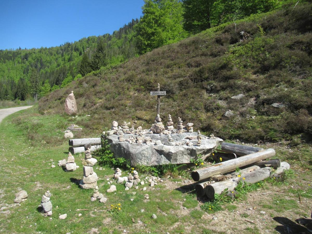 C4 Albmatte-Fewo Sauna, Hallenbad Aussenbecken Massagen Nebenan Menzenschwand Luaran gambar