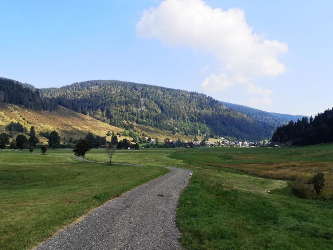 C4 Albmatte-Fewo Sauna, Hallenbad Aussenbecken Massagen Nebenan Menzenschwand Luaran gambar