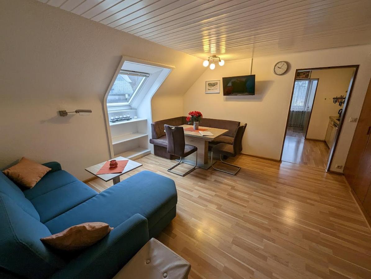 C4 Albmatte-Fewo Sauna, Hallenbad Aussenbecken Massagen Nebenan Menzenschwand Luaran gambar