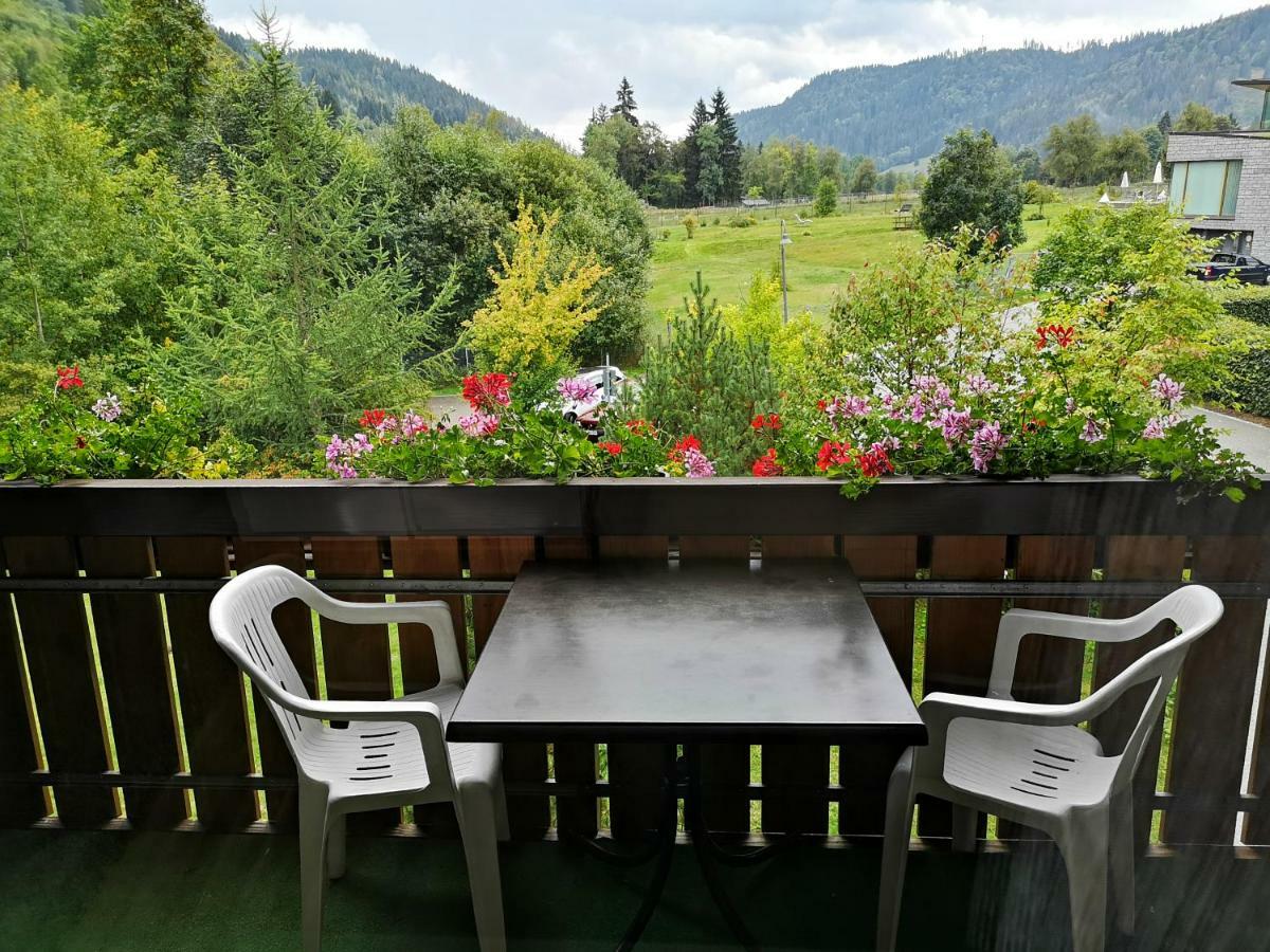 C4 Albmatte-Fewo Sauna, Hallenbad Aussenbecken Massagen Nebenan Menzenschwand Luaran gambar