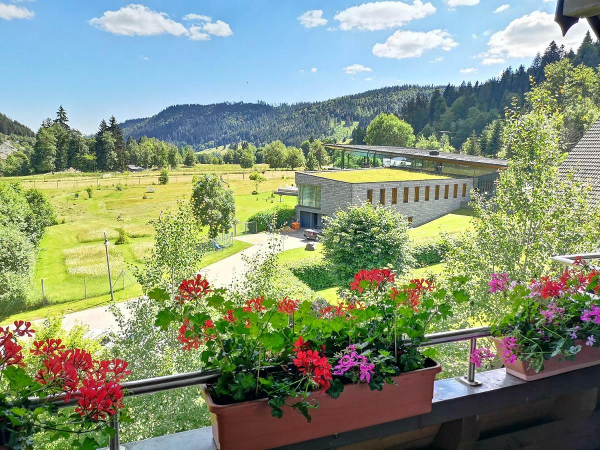 C4 Albmatte-Fewo Sauna, Hallenbad Aussenbecken Massagen Nebenan Menzenschwand Luaran gambar