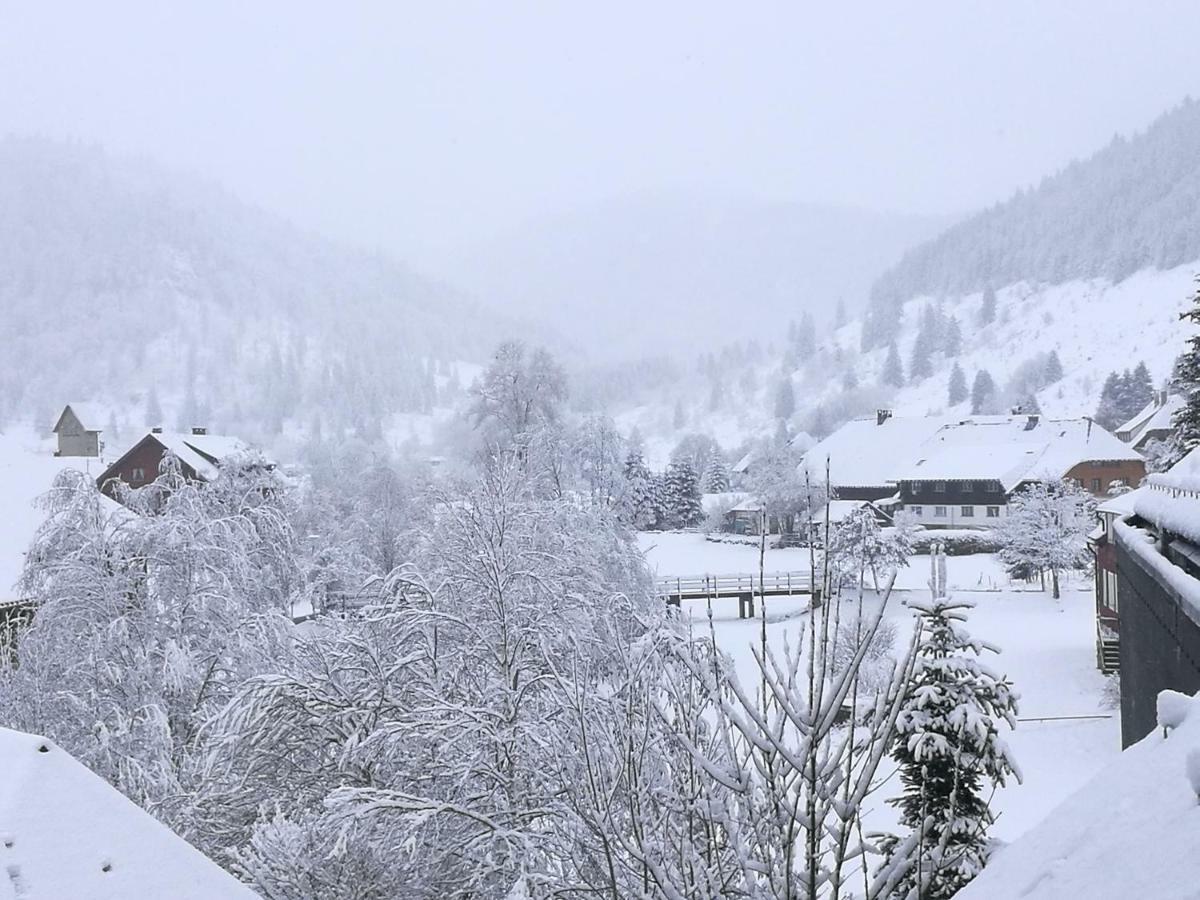 C4 Albmatte-Fewo Sauna, Hallenbad Aussenbecken Massagen Nebenan Menzenschwand Luaran gambar
