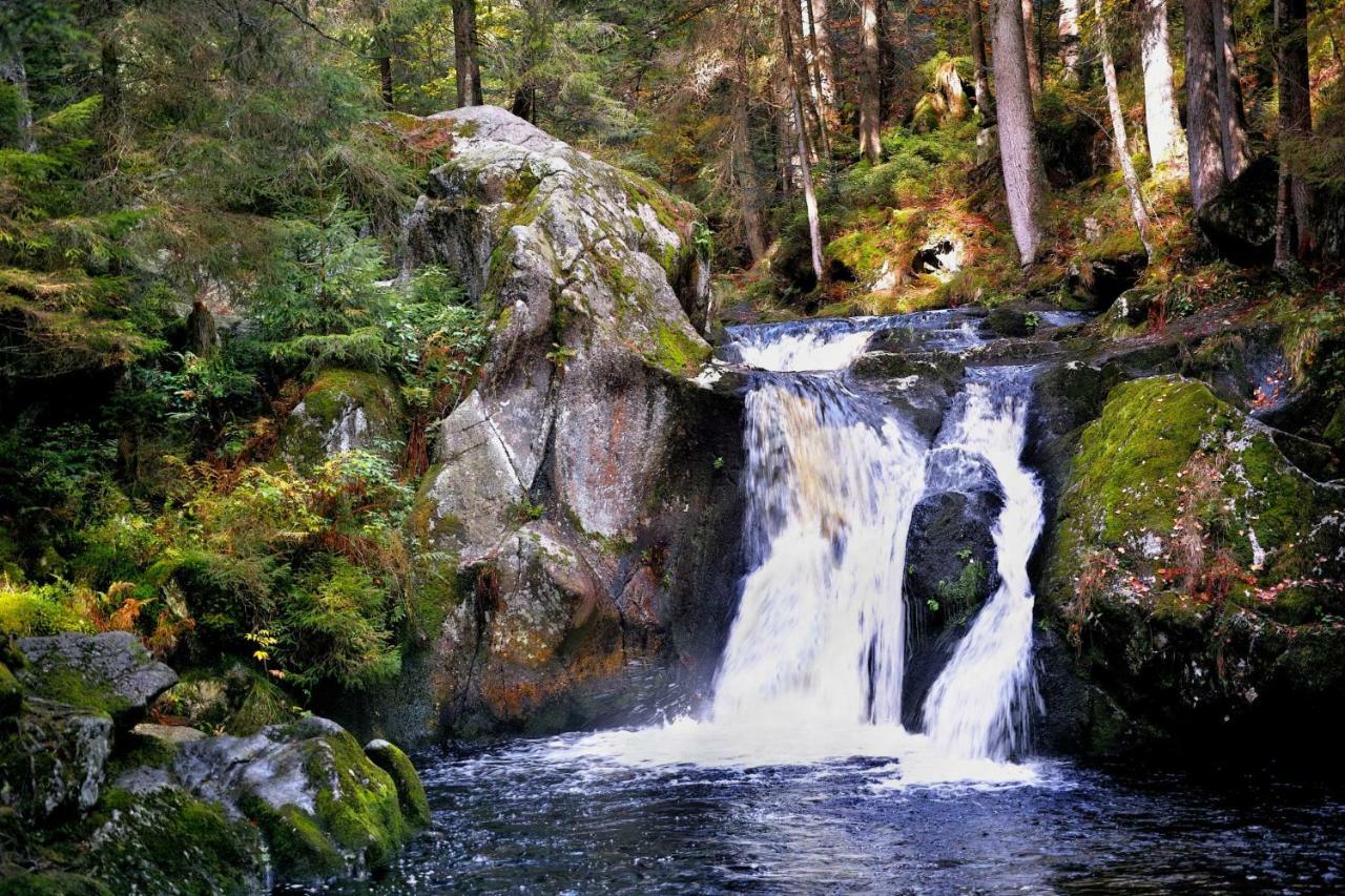C4 Albmatte-Fewo Sauna, Hallenbad Aussenbecken Massagen Nebenan Menzenschwand Luaran gambar