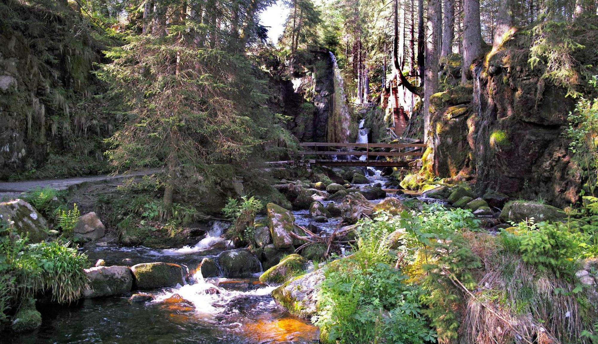 C4 Albmatte-Fewo Sauna, Hallenbad Aussenbecken Massagen Nebenan Menzenschwand Luaran gambar