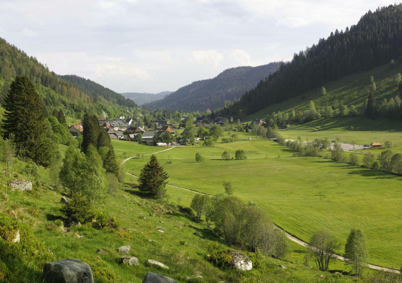 C4 Albmatte-Fewo Sauna, Hallenbad Aussenbecken Massagen Nebenan Menzenschwand Luaran gambar