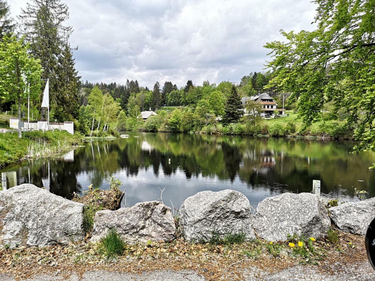 C4 Albmatte-Fewo Sauna, Hallenbad Aussenbecken Massagen Nebenan Menzenschwand Luaran gambar