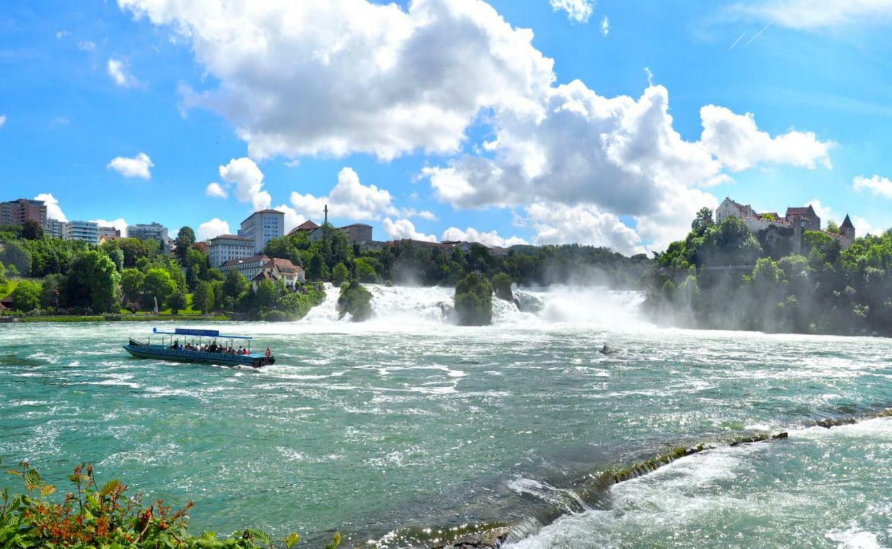 C4 Albmatte-Fewo Sauna, Hallenbad Aussenbecken Massagen Nebenan Menzenschwand Luaran gambar